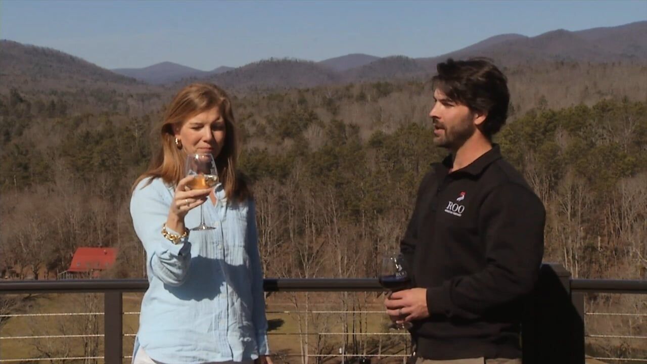 3 Plus Your Travel- Pick Ellijay